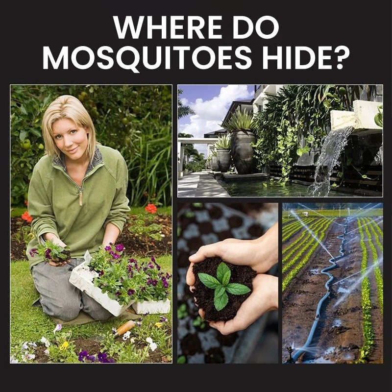 🔥Summer Sale 50% OFF🔥Solar Mosquito Zapper Light – Outdoor Garden Stake Lamp detail view