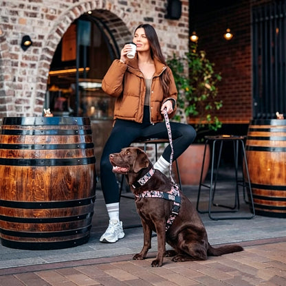 ✨The Dog Harness That Stops Pulling — Without Sacrificing Comfort ✨