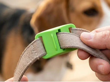 🐕12 Months Flea and Tick Free⏰