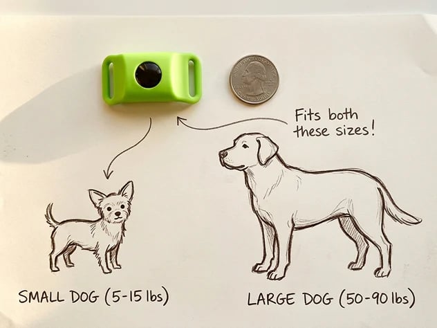 🐕12 Months Flea and Tick Free⏰
